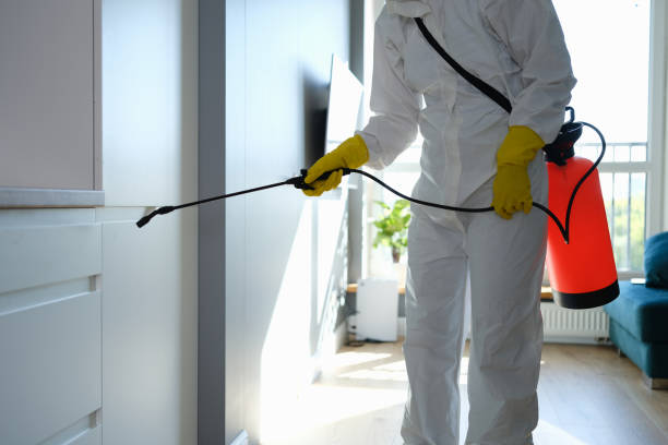 Best Mold Damage Repair  in Chase, PA